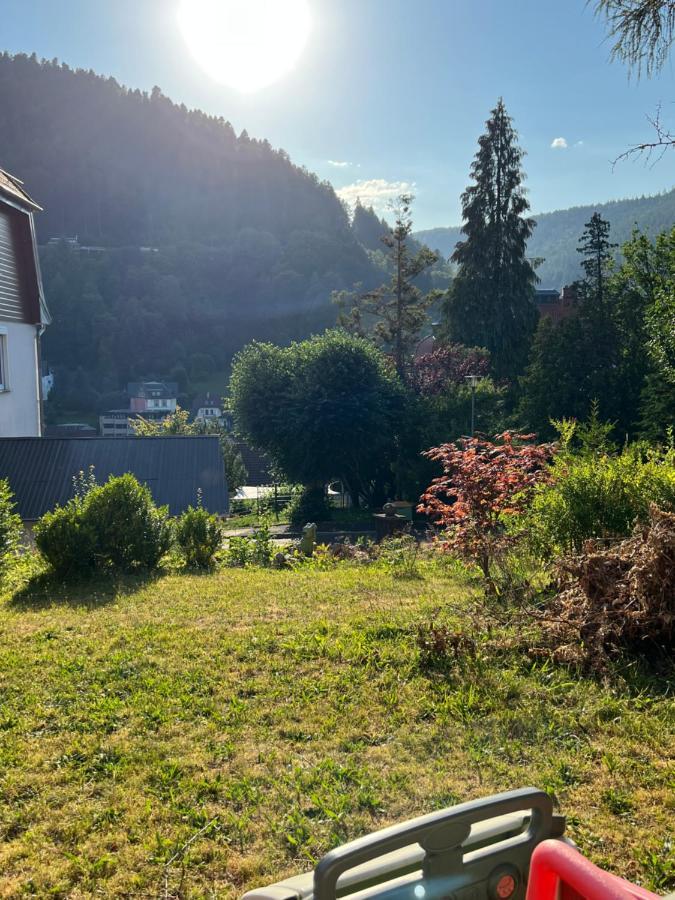 Апартаменты Viva La Wildbad Бад-Вильдбад Экстерьер фото