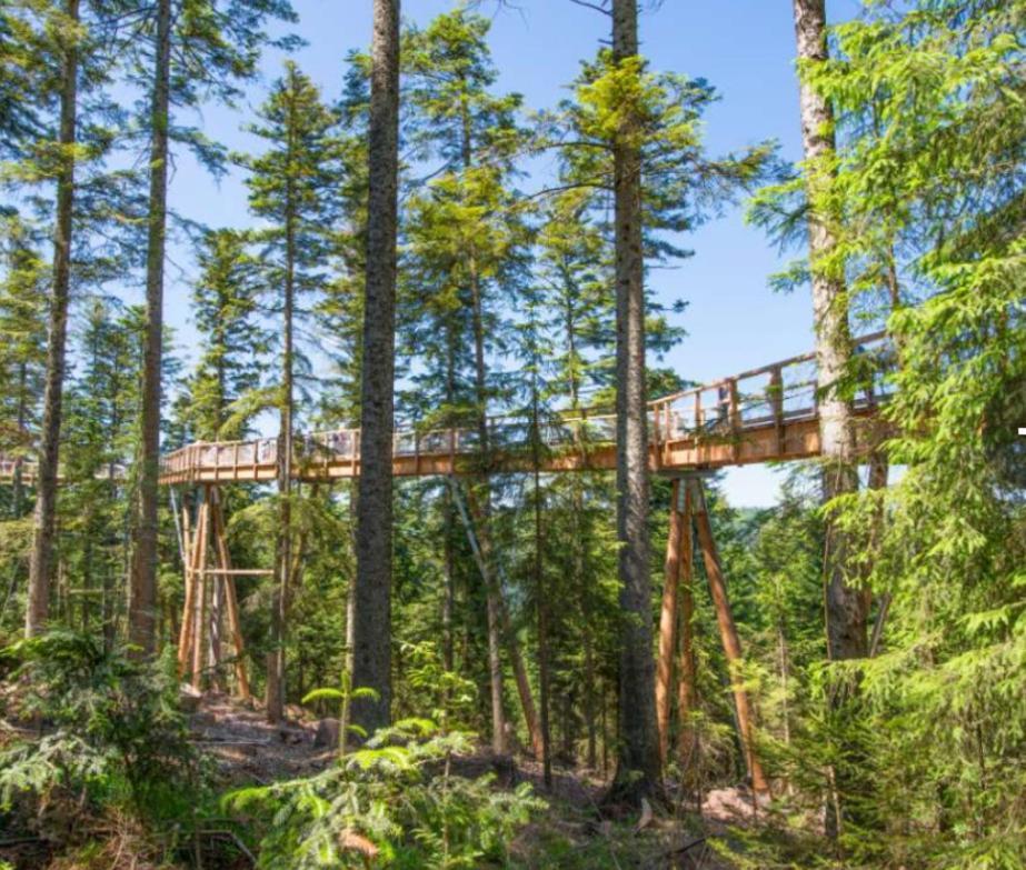 Апартаменты Viva La Wildbad Бад-Вильдбад Экстерьер фото