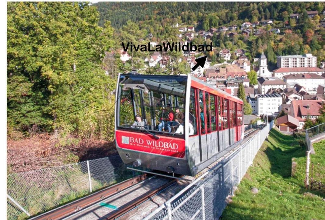 Апартаменты Viva La Wildbad Бад-Вильдбад Экстерьер фото